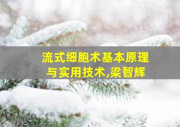 流式细胞术基本原理与实用技术,梁智辉