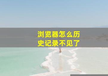 浏览器怎么历史记录不见了