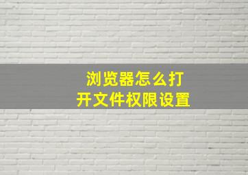 浏览器怎么打开文件权限设置