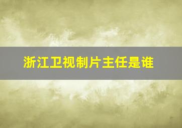 浙江卫视制片主任是谁