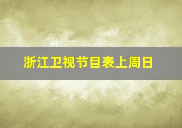 浙江卫视节目表上周日