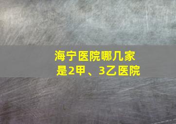 海宁医院哪几家是2甲、3乙医院