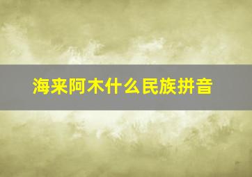 海来阿木什么民族拼音