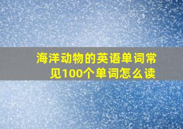 海洋动物的英语单词常见100个单词怎么读