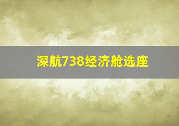 深航738经济舱选座