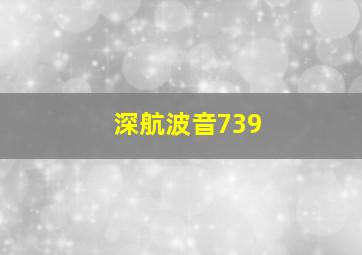 深航波音739