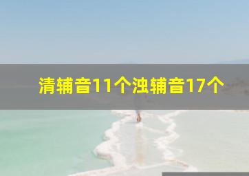 清辅音11个浊辅音17个