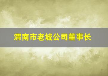 渭南市老城公司董事长