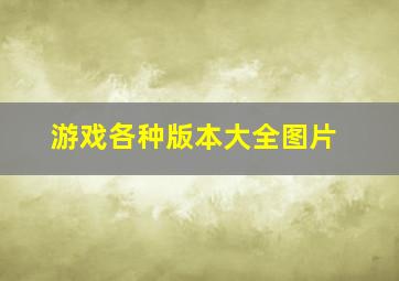 游戏各种版本大全图片