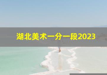 湖北美术一分一段2023