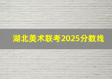 湖北美术联考2025分数线