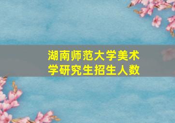 湖南师范大学美术学研究生招生人数