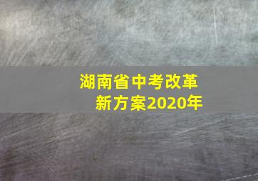 湖南省中考改革新方案2020年