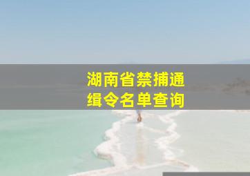 湖南省禁捕通缉令名单查询