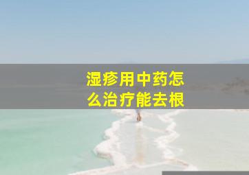 湿疹用中药怎么治疗能去根