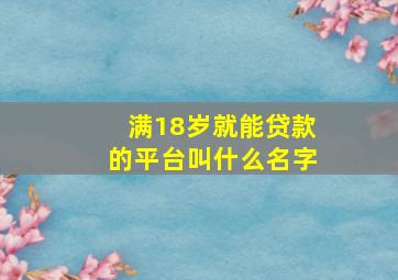 满18岁就能贷款的平台叫什么名字