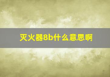 灭火器8b什么意思啊