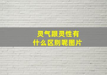 灵气跟灵性有什么区别呢图片