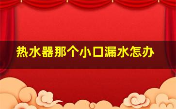 热水器那个小口漏水怎办