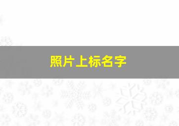 照片上标名字