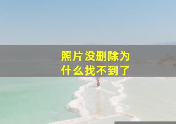 照片没删除为什么找不到了