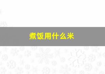 煮饭用什么米