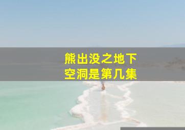 熊出没之地下空洞是第几集