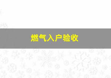 燃气入户验收