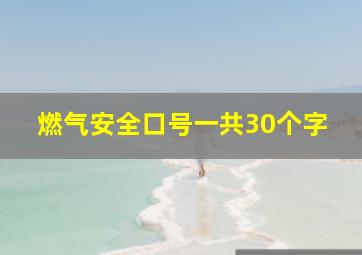 燃气安全口号一共30个字