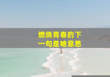 燃烧青春的下一句是啥意思