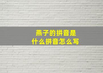 燕子的拼音是什么拼音怎么写