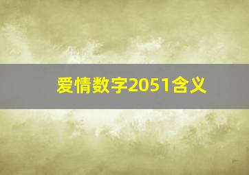 爱情数字2051含义