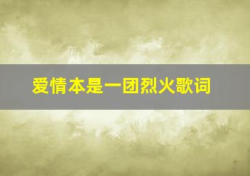 爱情本是一团烈火歌词