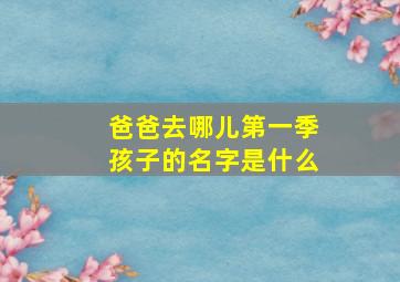 爸爸去哪儿第一季孩子的名字是什么