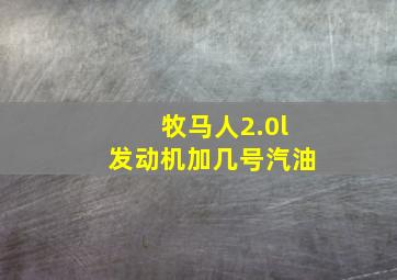 牧马人2.0l发动机加几号汽油