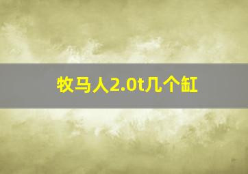 牧马人2.0t几个缸