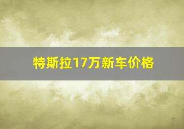 特斯拉17万新车价格