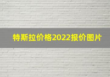 特斯拉价格2022报价图片