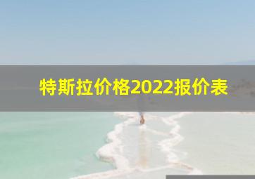 特斯拉价格2022报价表