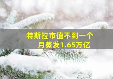 特斯拉市值不到一个月蒸发1.65万亿