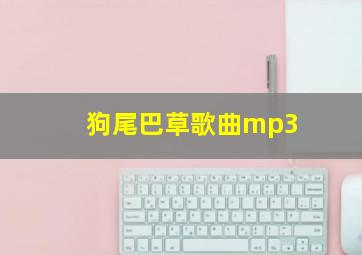 狗尾巴草歌曲mp3