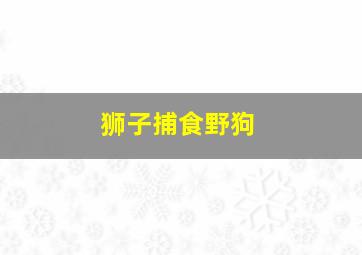 狮子捕食野狗