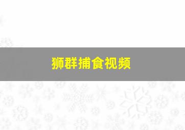 狮群捕食视频