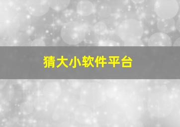 猜大小软件平台