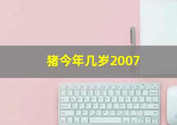 猪今年几岁2007