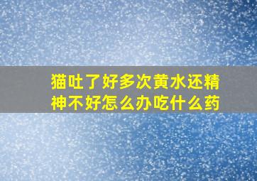 猫吐了好多次黄水还精神不好怎么办吃什么药