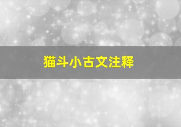 猫斗小古文注释