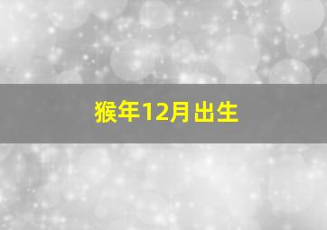 猴年12月出生