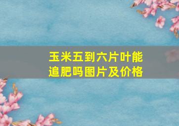 玉米五到六片叶能追肥吗图片及价格