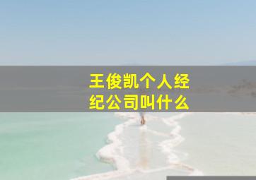 王俊凯个人经纪公司叫什么